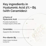 The Ordinary Hyaluronic Acid 2% + B5 Hydrating Serum with Ceramides - Image 5